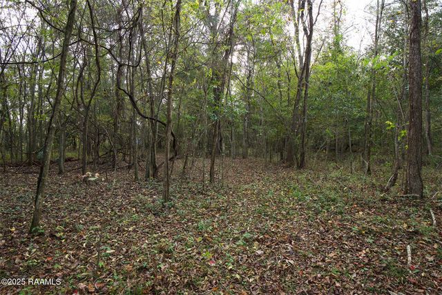 1864 Bushville Highway, Arnaudville, LA 70512