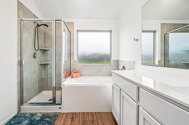 19308 Via Vinovo Court, New Caney, TX 77357