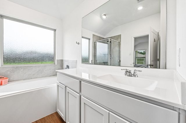 19308 Via Vinovo Court, New Caney, TX 77357