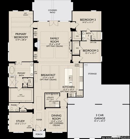 10868 Chestnut Warbler, New Braunfels, TX 78132