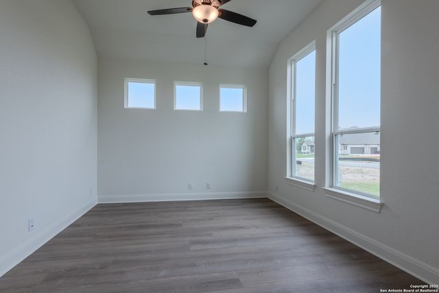 10868 Chestnut Warbler, New Braunfels, TX 78132