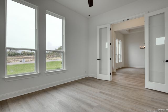 10868 Chestnut Warbler, New Braunfels, TX 78132