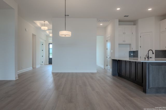10868 Chestnut Warbler, New Braunfels, TX 78132