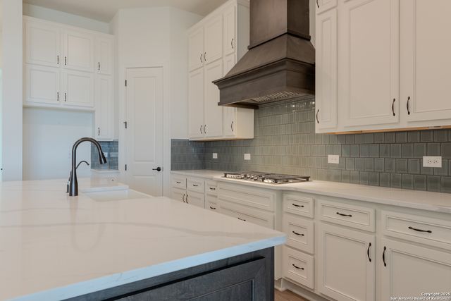 10868 Chestnut Warbler, New Braunfels, TX 78132