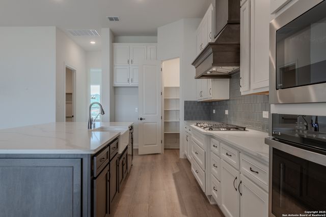 10868 Chestnut Warbler, New Braunfels, TX 78132