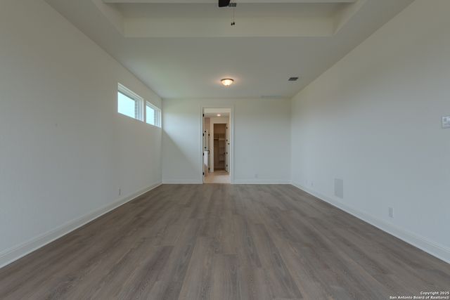 10868 Chestnut Warbler, New Braunfels, TX 78132
