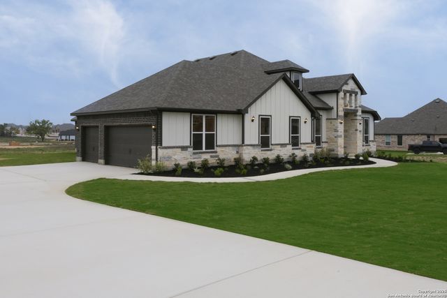 10868 Chestnut Warbler, New Braunfels, TX 78132