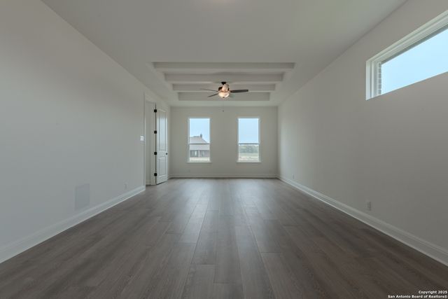 10868 Chestnut Warbler, New Braunfels, TX 78132