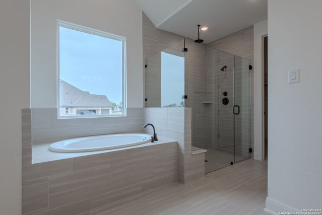 10868 Chestnut Warbler, New Braunfels, TX 78132
