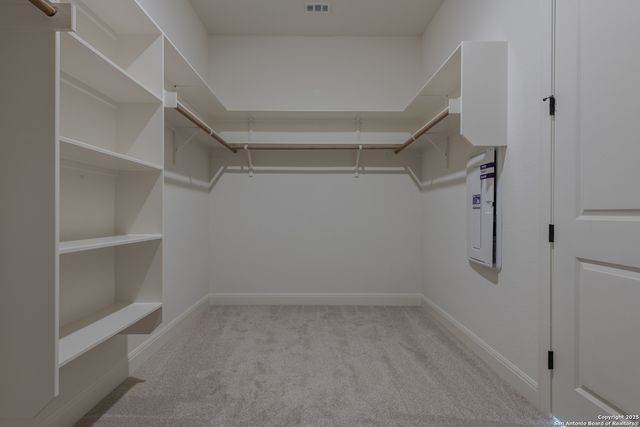 10868 Chestnut Warbler, New Braunfels, TX 78132