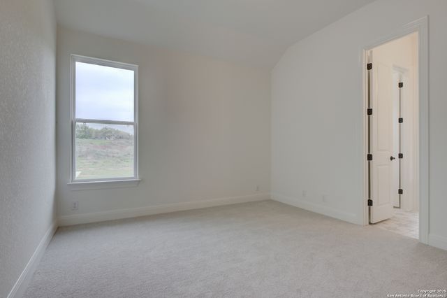 10868 Chestnut Warbler, New Braunfels, TX 78132