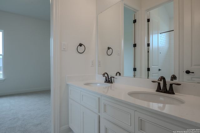 10868 Chestnut Warbler, New Braunfels, TX 78132