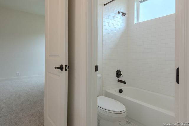 10868 Chestnut Warbler, New Braunfels, TX 78132