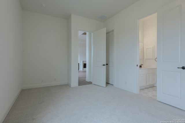 10868 Chestnut Warbler, New Braunfels, TX 78132