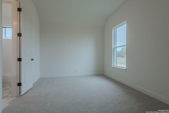 10868 Chestnut Warbler, New Braunfels, TX 78132