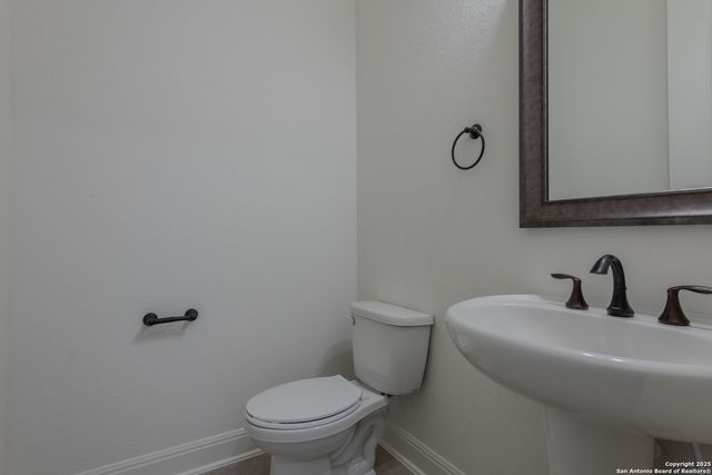 10868 Chestnut Warbler, New Braunfels, TX 78132