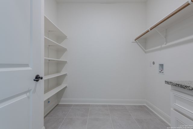 10868 Chestnut Warbler, New Braunfels, TX 78132