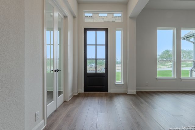 10868 Chestnut Warbler, New Braunfels, TX 78132