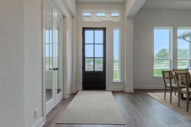 10868 Chestnut Warbler, New Braunfels, TX 78132