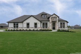 10868 Chestnut Warbler, New Braunfels, TX 78132