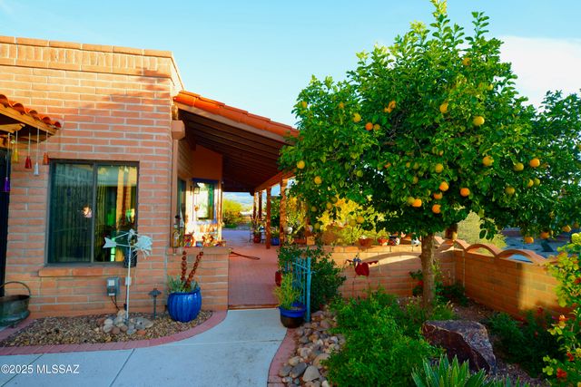 3845 S Via Del Reyecuelo, Green Valley, AZ 85622