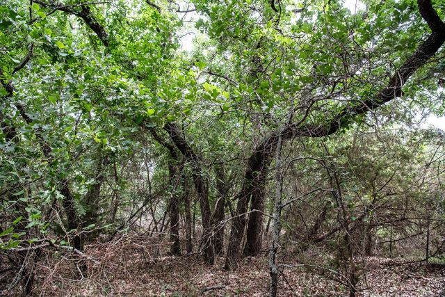 TBD Latigo Way, Weatherford, TX 76088