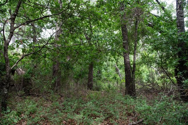 TBD Latigo Way, Weatherford, TX 76088