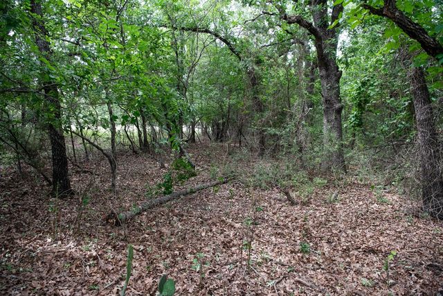 TBD Latigo Way, Weatherford, TX 76088