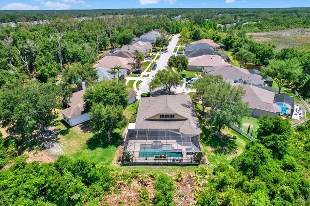 7518 AMBLESIDE DRIVE, Land O Lakes, FL 34637