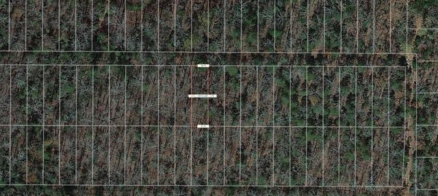 Lot 13 Adam Drive, Other, AR 72542