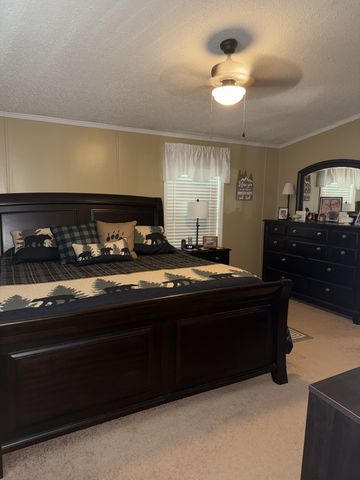 524 Old Rhea Springs Rd, Spring City, TN 37381