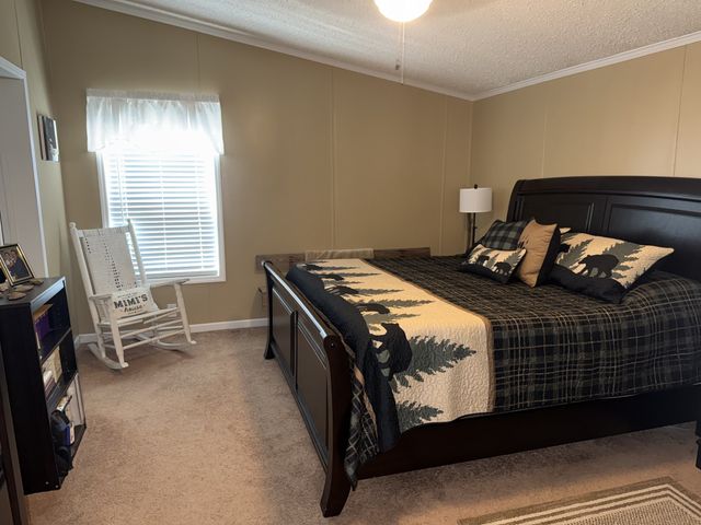 524 Old Rhea Springs Rd, Spring City, TN 37381