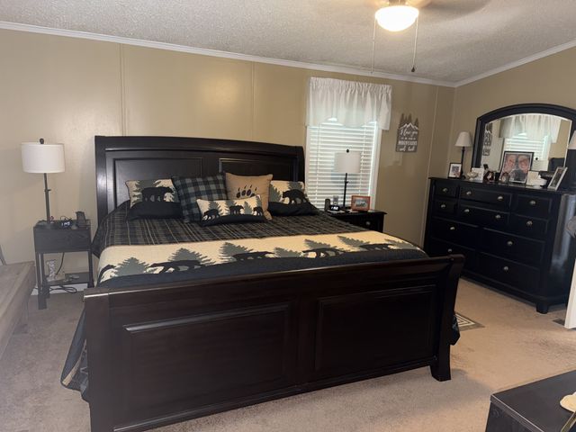 524 Old Rhea Springs Rd, Spring City, TN 37381