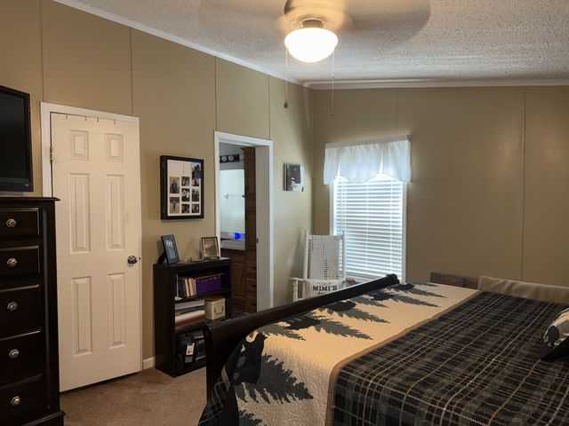 524 Old Rhea Springs Rd, Spring City, TN 37381