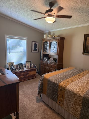 524 Old Rhea Springs Rd, Spring City, TN 37381