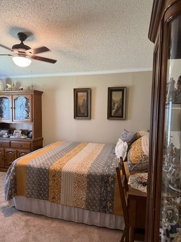 524 Old Rhea Springs Rd, Spring City, TN 37381
