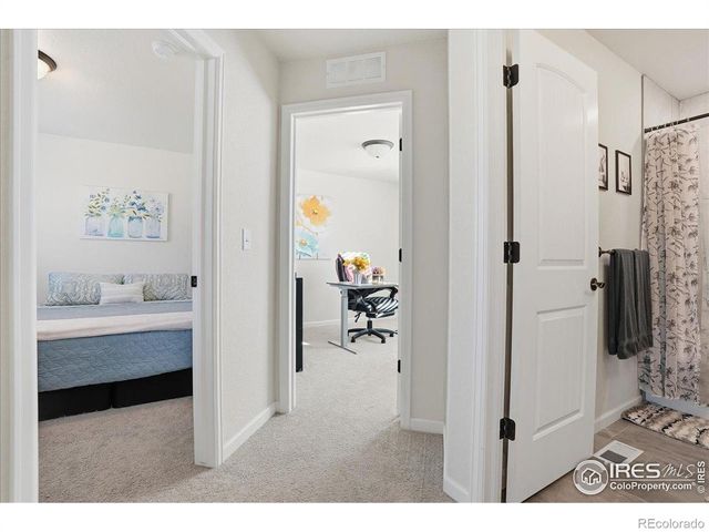 4212 Yellowbells Drive, Evans, CO 80620