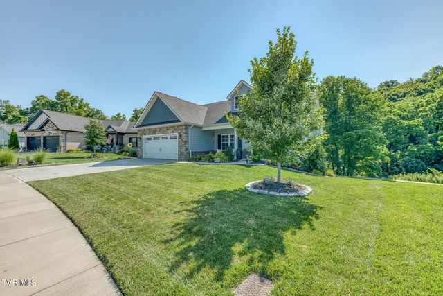 593 Gardenia Drive, Johnson City, TN 37615