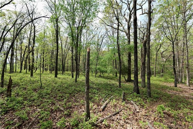 Lot 23A Hummingbird Road, Gravette, AR 72736