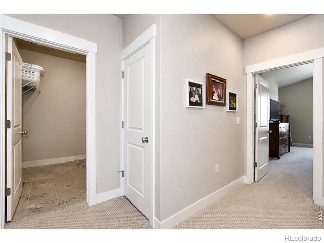 6245 Vernazza Way 3, Windsor, CO 80550