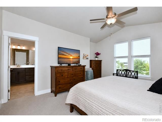 6245 Vernazza Way 3, Windsor, CO 80550