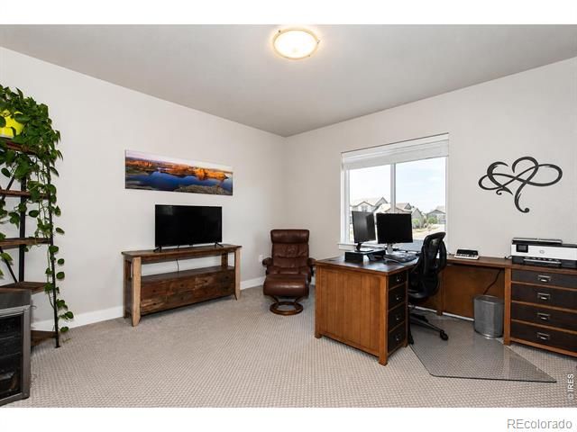 6245 Vernazza Way 3, Windsor, CO 80550