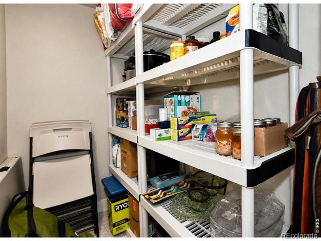 6245 Vernazza Way 3, Windsor, CO 80550
