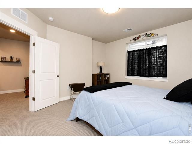 6245 Vernazza Way 3, Windsor, CO 80550