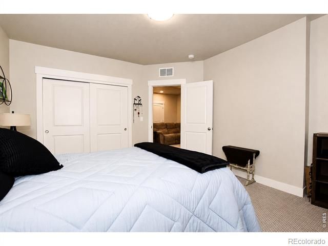 6245 Vernazza Way 3, Windsor, CO 80550