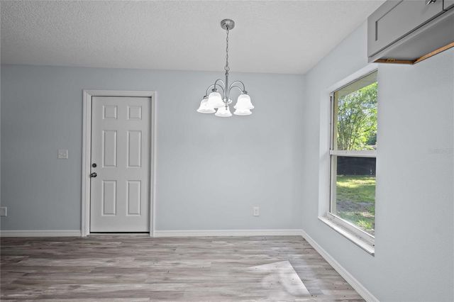 11445 CR 675, Webster, FL 33597