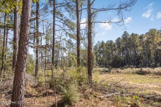 0000 Ms- 33, Centreville, MS 39631