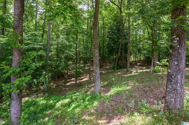 8435 WARWICK DRIVE, Morris, AL 35116