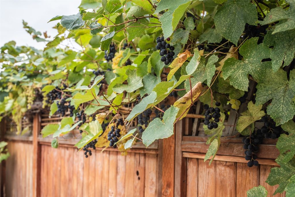 5646 W Harrier Drive, Missoula, MT 59808 photo 50