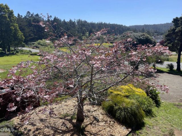 44920 Little Lake Road, Mendocino, CA 95460